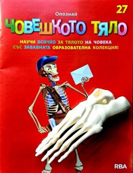 човешкото тяло бр.27