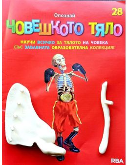 човешкото тяло бр.28